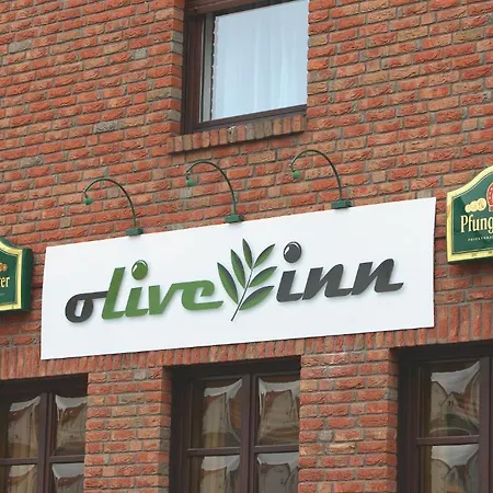 Olive Rodgau